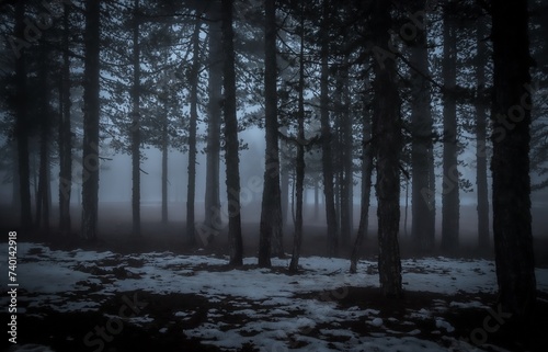 fog in the forest © mrintheory