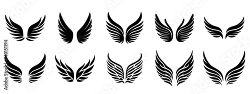 Wings. Elements for design. Vector illustration.