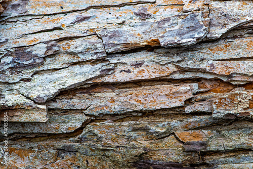 old wood texture