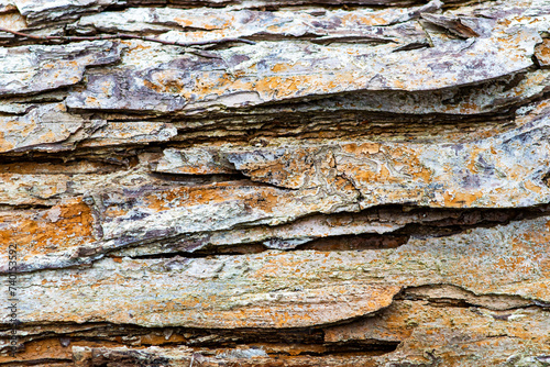 wood texture