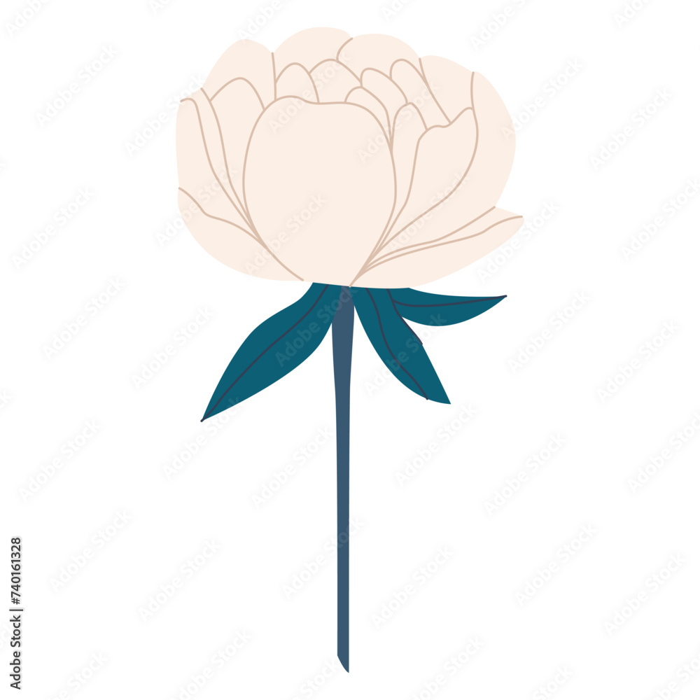 Adorable white peony. Item for March 8th. Spring element decoration in modern simple cartoon flat style for print design. cute spring flower and leaves in flat style. Kids design, for fabric, wrapping Adorable white peony. Item for March 8th. Spring element decoration in modern simple cartoon flat style for print design. cute spring flower and leaves in flat style. Kids design, for fabric, wrapping