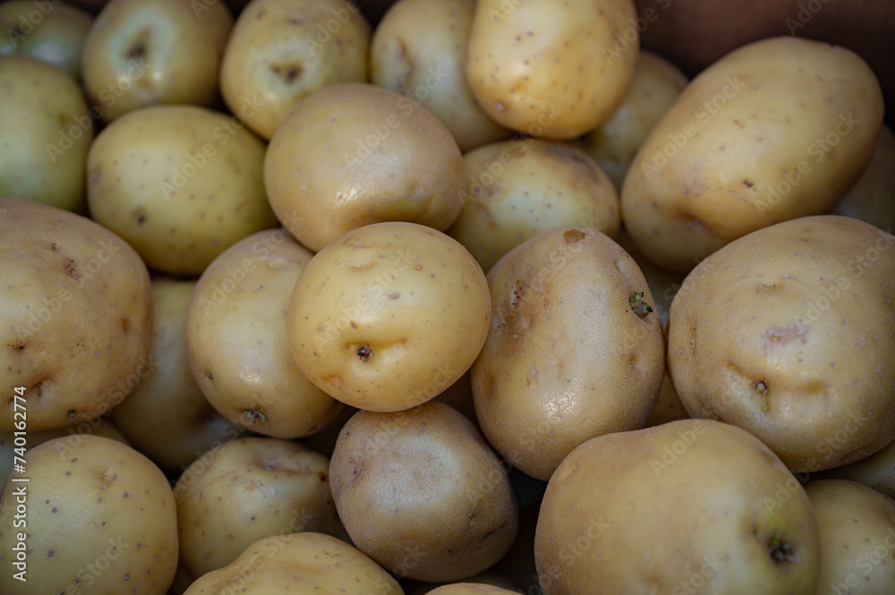 Potato close-up on a street stall tray. Fresh fruits and vegetables. Background with juicy and bright products. Potato close-up on a street stall tray. Fresh fruits and vegetables. Background with juicy and bright products.
