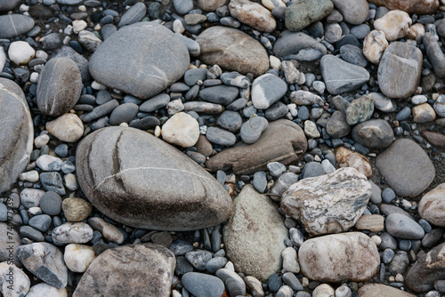 Pebbles and Stones on Rhine River bed, Vaduz, Liechtenstein