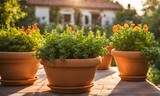 An array of terracotta flowerpots cradling an assortment of colorful flowers, captured with a shallow depth of field