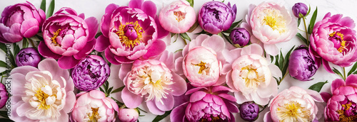 Summer flowers layout, background, wallpaper or texture. Flat-lay of pink and purple peony flowers arrangement over plain white background, top view. Florist shop website banner or wallpaper photo