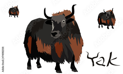 Yak in vector art