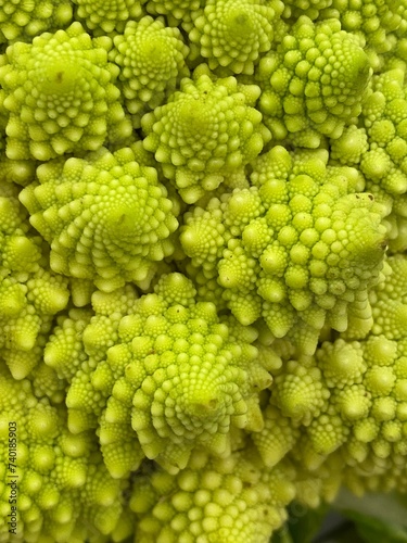 Romanesco Broccoli close up photo