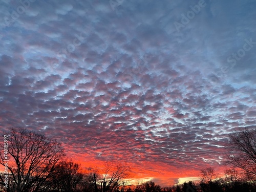 Gorgeous Vibrant Blue and Pink Sunrise with scattered clouds