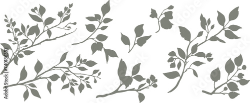 Set of silhouettes of branches and leaves. Hand drawn vector botanical elements