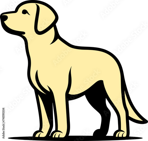 labrador retriever dog