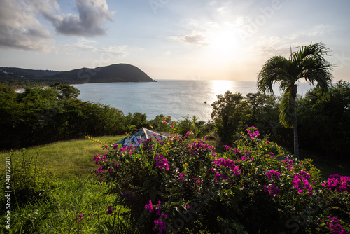 Guadeloupe  a Caribbean island in the French Antilles. Landscape and view of the Grande Anse bay on Basse-Terre. A secluded bay  lots of nature and mangroves  at sunrise.
