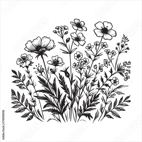 Wild Flowers illustration