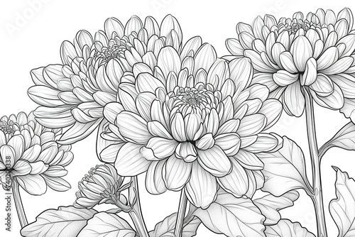 Coloring book flowers doodle style black outline.