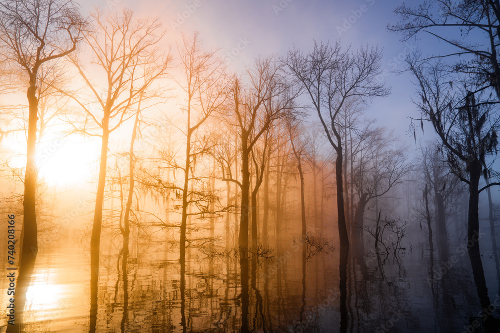 sunrise over the river