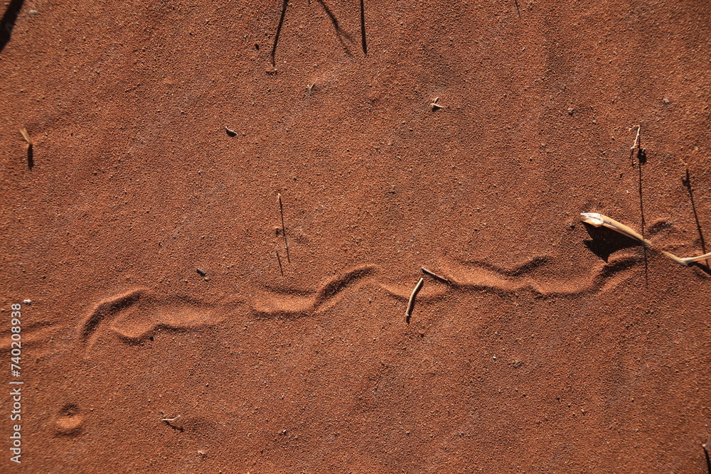 snake track in the red sand of namib desert Stock Photo | Adobe Stock