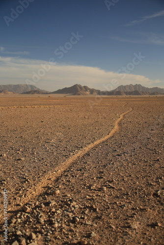 animal path in the namib desert