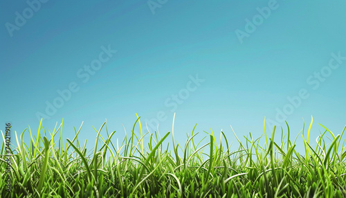 Green grass on blue clear sky background