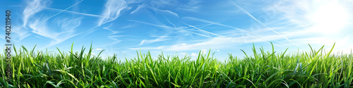 Green grass on blue clear sky background