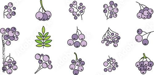 Rowan park icons set. Outline set of Rowan park vector icons thin line color flat on white