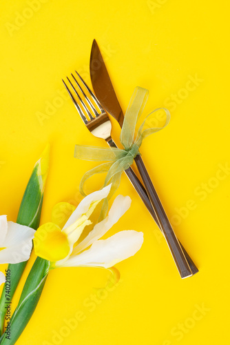 Iris yellow and white flowers on tender spring background  8 march day festive background  mimose is traditional flowers for Easter or Mothers Day
