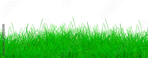 Green grass. grass field isolated on white background