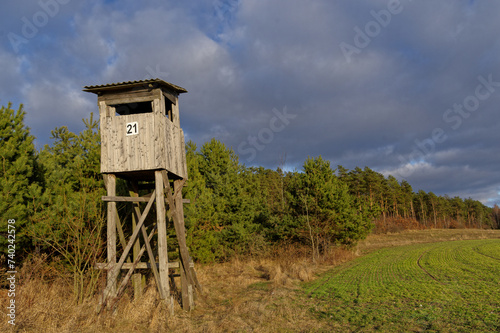 Фотография Hunting ambush near the forest, Europe.
