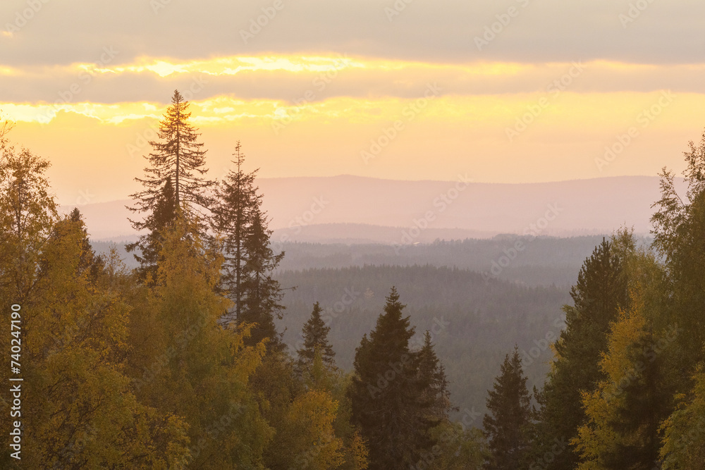 A scenery of colorful trees during an autumnal sunset near Kuusamo, Northern Finland
