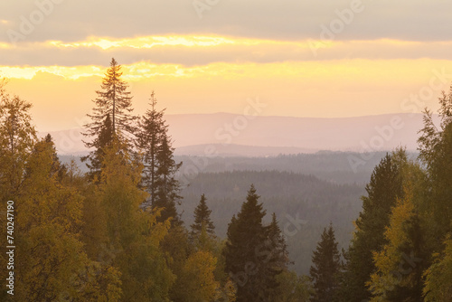 Fototapeta Naklejka Na Ścianę i Meble -  A scenery of colorful trees during an autumnal sunset near Kuusamo, Northern Finland