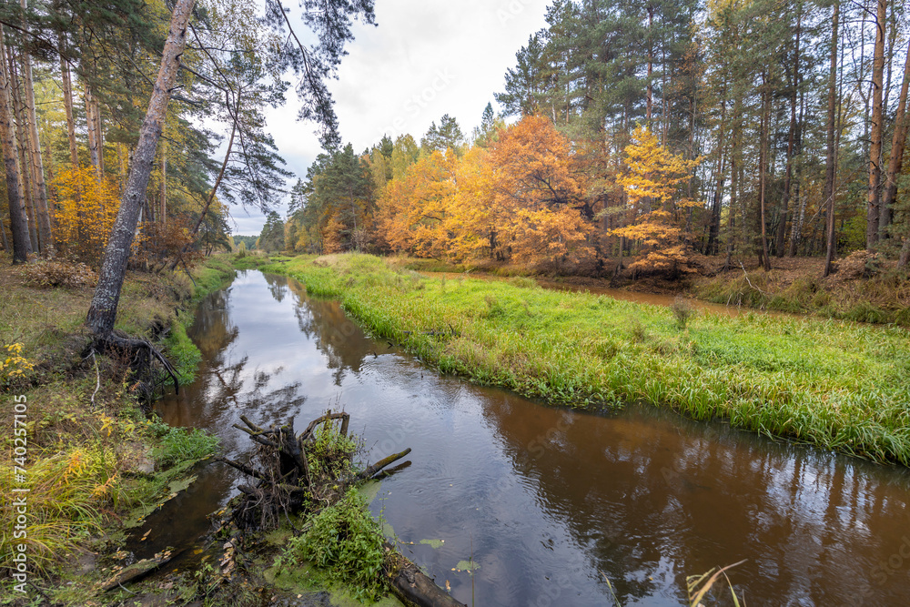 Autumn landscape, pine forest on the river bank with a beautiful reflection of calm water. Autumn landscape, pine forest on the river bank with a beautiful reflection of calm water.