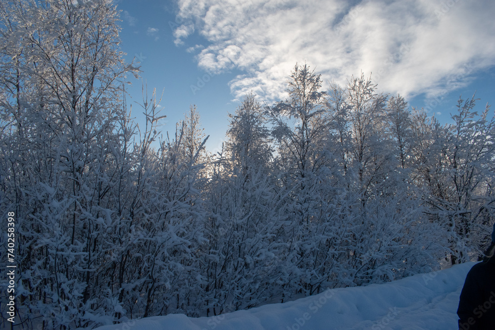 Idyllic panoramic cold winter view in the arctics with lot of snow and blue sky. Idyllic panoramic cold winter view in the arctics with lot of snow and blue sky.