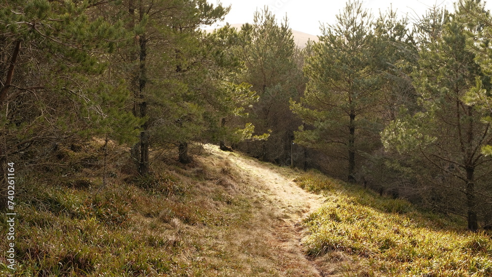 Fototapeta premium Glen Sherup, Scotland, UK