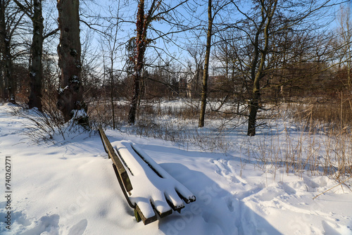 bench in the snow