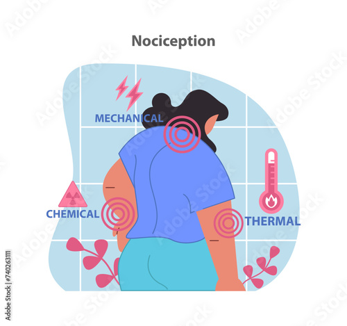 Nociception illustration. Visualization of the body's response to mechanical.