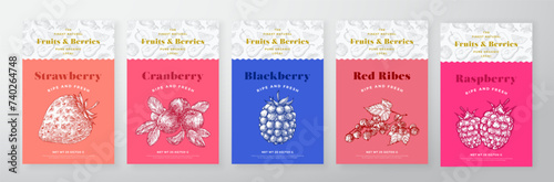 Raspberry Berries and Fruit Pattern Label Templates Set. Vector Packaging Design Layout Collection. Modern Typography Banner with Hand Drawn Strawberry and Blackberry Sketches Background. Isolated photo