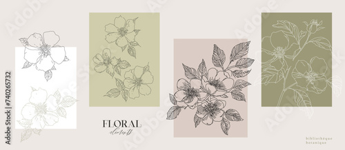 Delicate set of floral prints with abstract flowers