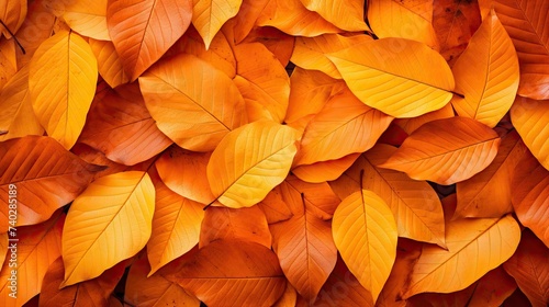 Vibrant Autumn Foliage: A Lush Wall of Orange Leaves Nature Background