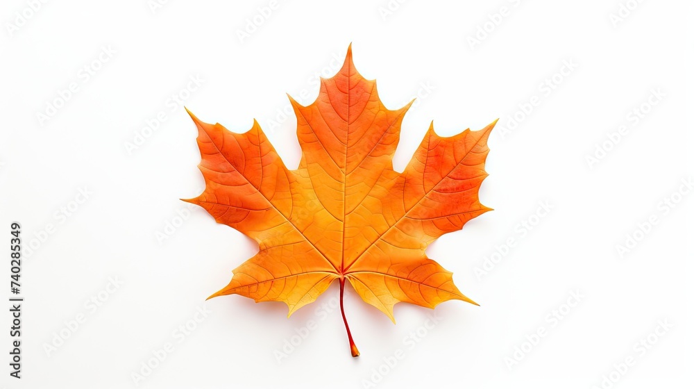 Vivid Orange Maple Leaf Stands Out on a Clean White Background, Symbol of Autumn Beauty Vivid Orange Maple Leaf Stands Out on a Clean White Background, Symbol of Autumn Beauty