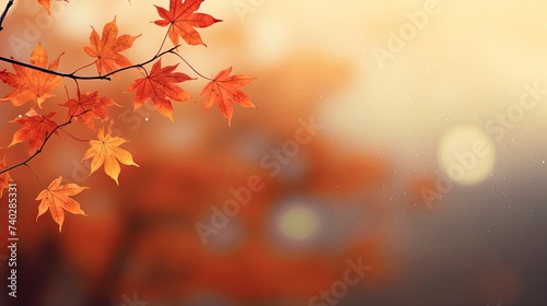 Vivid Autumn Colors  High-Quality Wallpapers Featuring Beautiful Leaves in HD