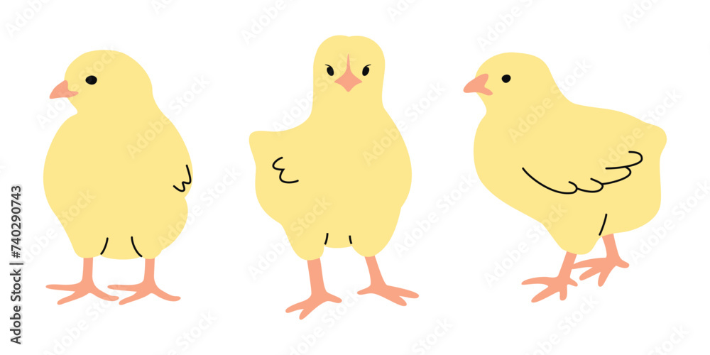 Cartoon collection with little chickens isolated on white background.Cute yellow animals  for use in card,banner template,poster,stickers.Farm birds print on fabric and paper.Vector flat illustration.