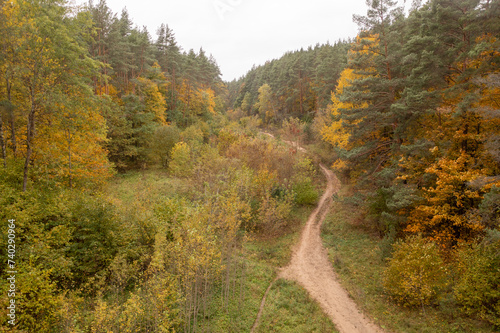Fototapeta Naklejka Na Ścianę i Meble -  Drone photography of a dirt footpath in a a forest during autumn day