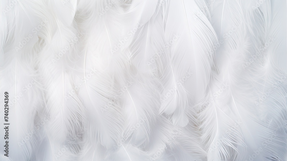 Ethereal White Feathers Floating in a Dreamy Background Amidst Airy Luminosity Ethereal White Feathers Floating in a Dreamy Background Amidst Airy Luminosity
