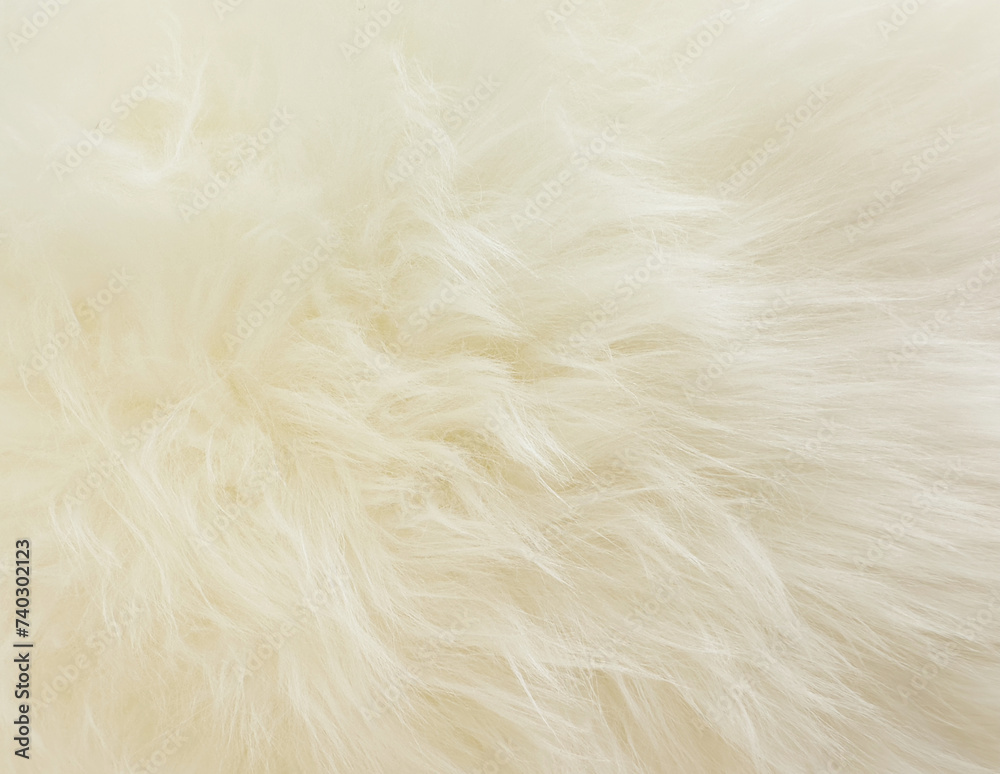 white wool carpet background, white wool rug texture background white wool carpet background, white wool rug texture background