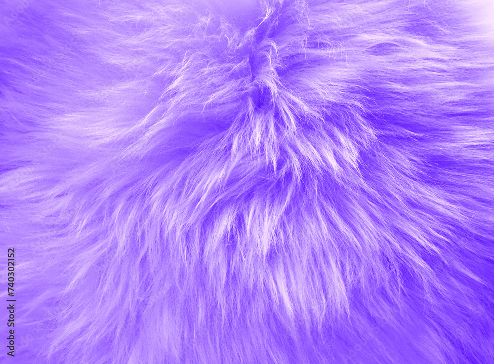 purple wool carpet background, pink wool rug texture background
purple wool carpet background, pink wool rug texture background