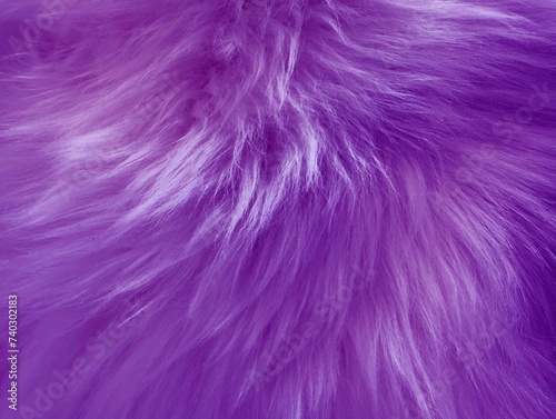 purple wool rug texture background  wool carpet texture 