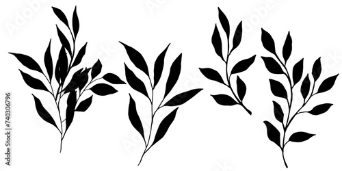 Set of vector black silhouette with flower, leaves and branch. Elegant art for decoration. hand drawing monochrome botanical illustration for backgrounds, wedding cards, polygraph, logo, tattoo