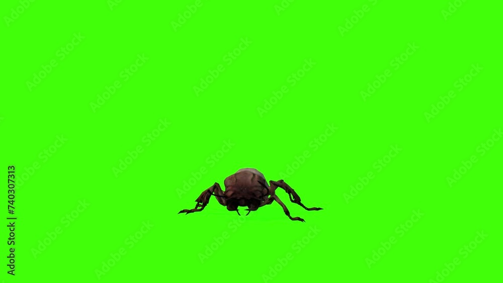 Termite Animation 3D Termite insect walking loop with front view on chroma key, 4k ...