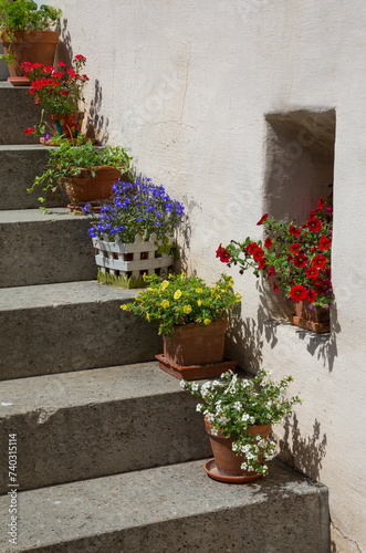 Plant pots on a residential property steps in Gruyères, Switzerland