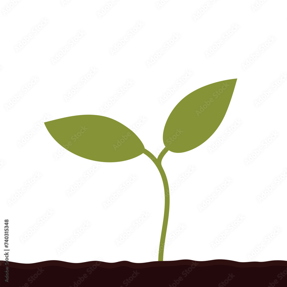 Plant growing from soil. Vector illustration. Plant growing from soil. Vector illustration.