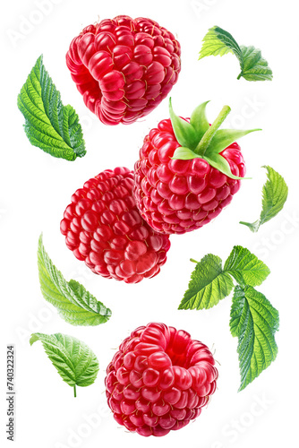 Four delicious flying raspberries with leaves isolated on white background