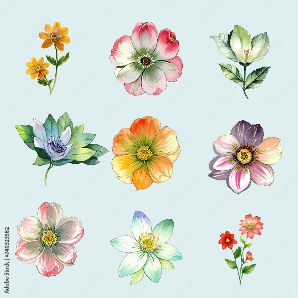 Flower vector watercolor flowers floral vector